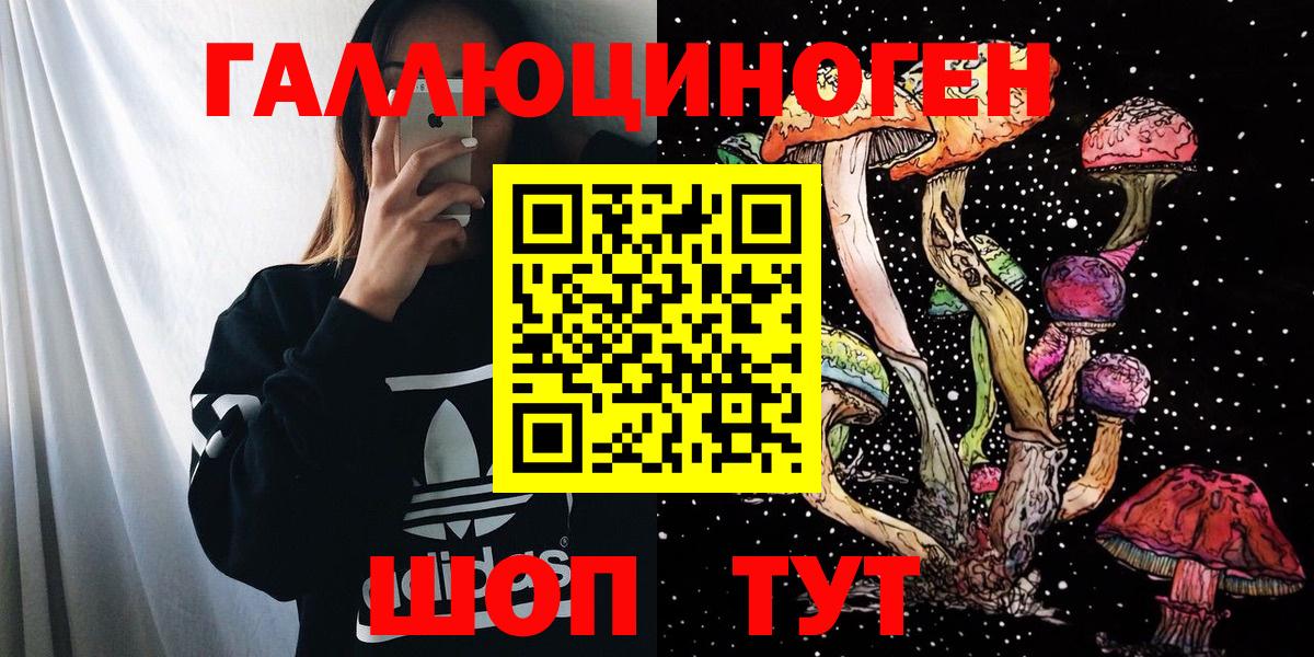 Псилоцибиновые грибы Psilocybine cubensis Миасс