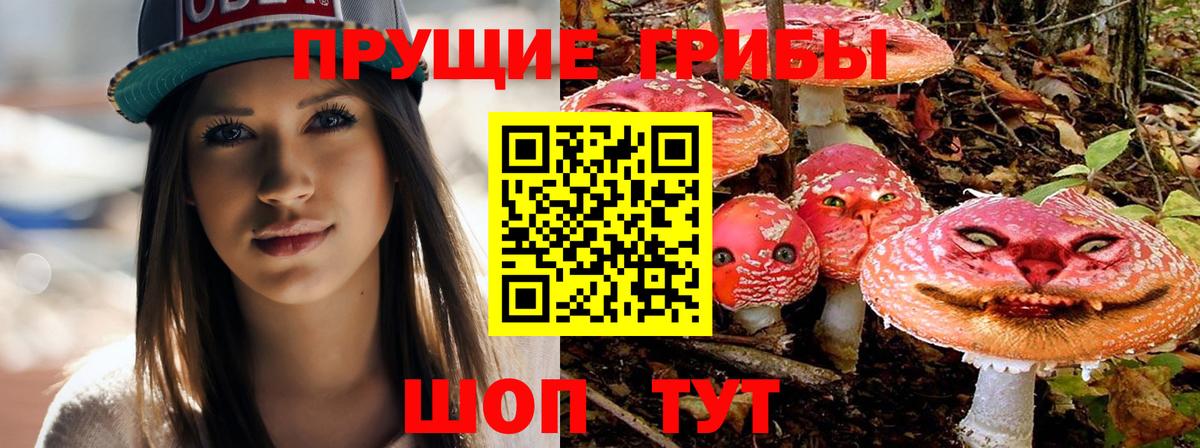 Миасс  Псилоцибиновые грибы ЛСД  Псилоцибиновые грибы Psilocybine cubensis  Вход с VPN 